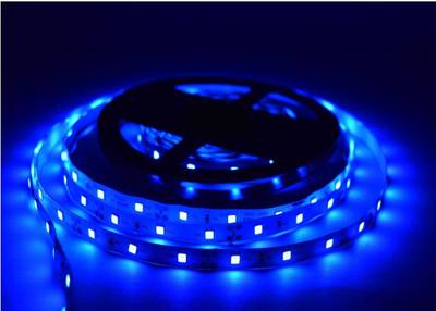 Home Delight Blue Rice Lights