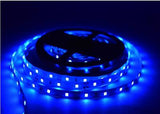 Home Delight Blue Rice Lights