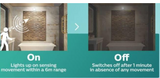 Philips Motion Sensor  Bulb