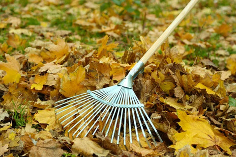 Handle Artificial Grass Rake